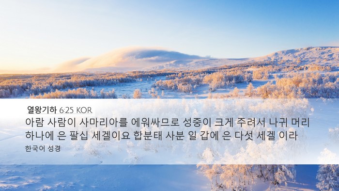 열왕기하 6:25 KOR Bible Verse Image