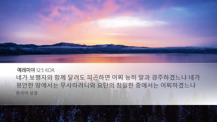 예레미야 12:5 KOR Bible Verse Image