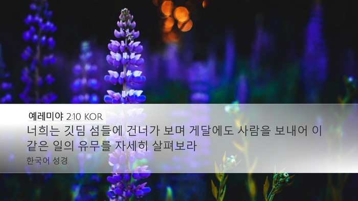 예레미야 2:10 KOR Bible Verse Image