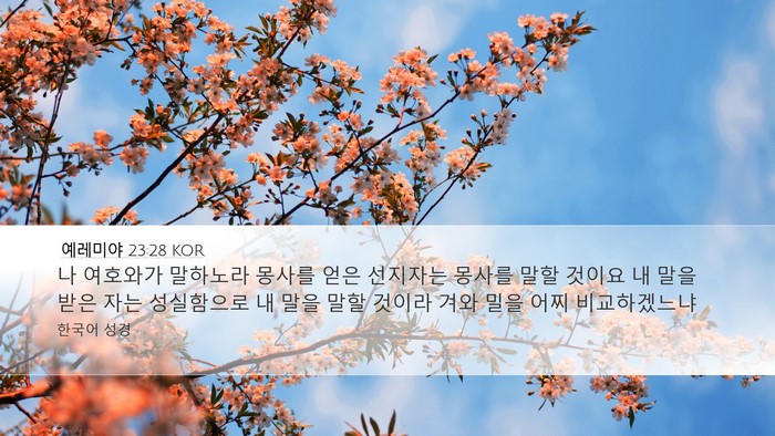 예레미야 23:28 KOR Bible Verse Image