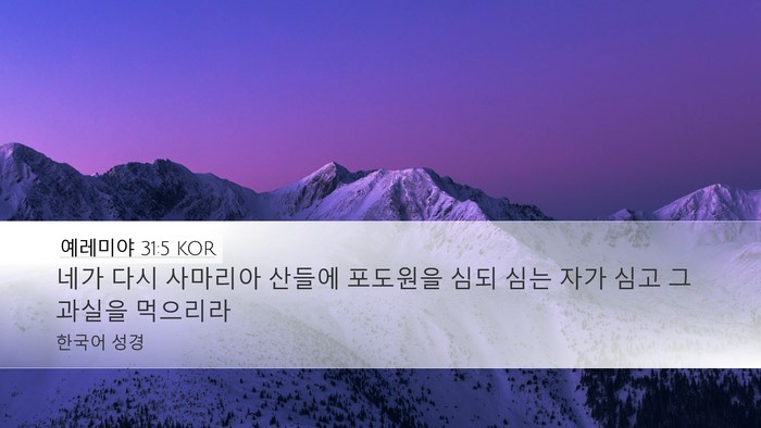 예레미야 31:5 KOR Bible Verse Image