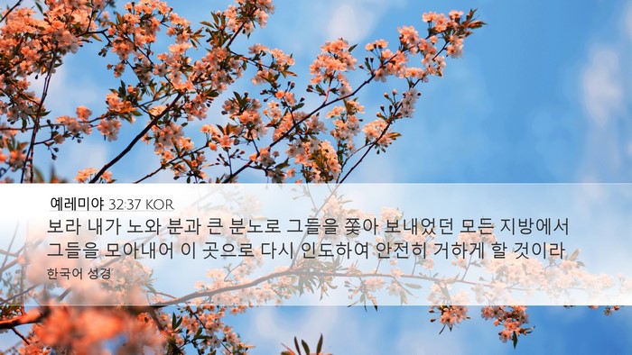 예레미야 32:37 KOR Bible Verse Image