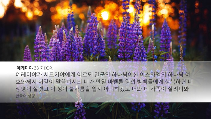 예레미야 38:17 KOR Bible Verse Image