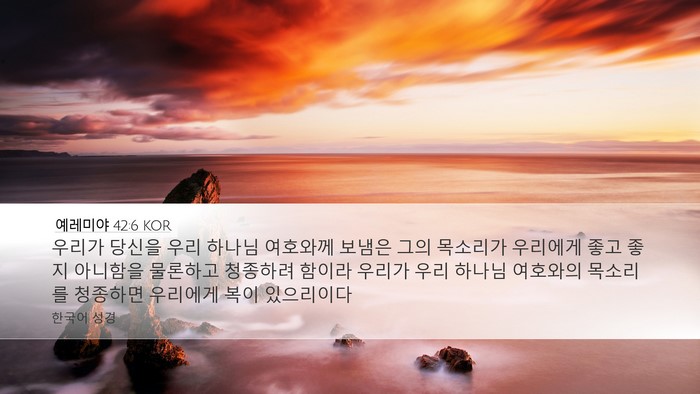예레미야 42:6 KOR Bible Verse Image