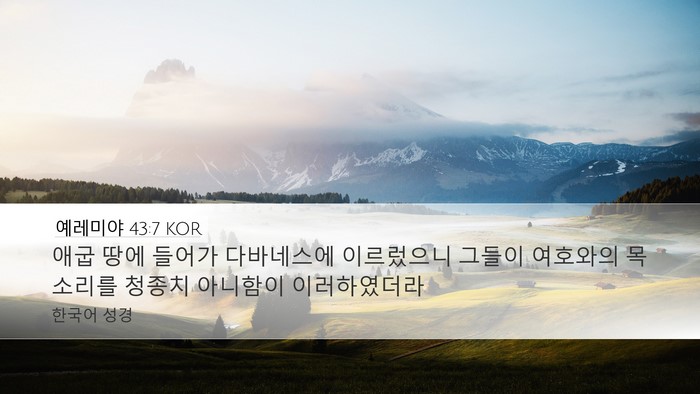 예레미야 43:7 KOR Bible Verse Image