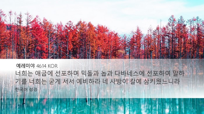 예레미야 46:14 KOR Bible Verse Image