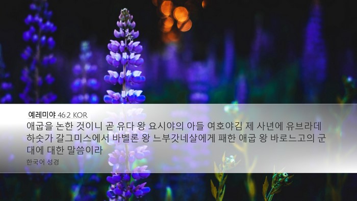 예레미야 46:2 KOR Bible Verse Image