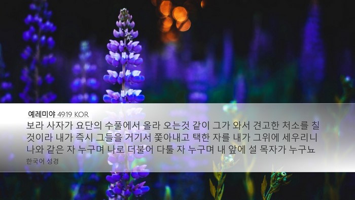예레미야 49:19 KOR Bible Verse Image