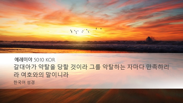 예레미야 50:10 KOR Desktop Wallpaper - 갈대아가 약탈을 당할 것이라 그를 - Desktop Bible Verse Wallpaper
