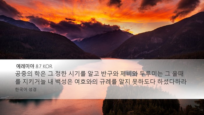 예레미야 8:7 KOR Bible Verse Image