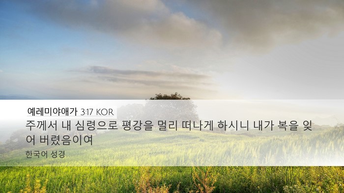예레미야애가 3:17 KOR Desktop Wallpaper - 주께서 내 심령으로 평강을 멀리 - Desktop Bible Verse Wallpaper