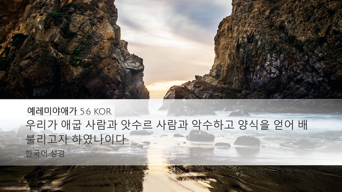 예레미야애가 5:6 KOR Bible Verse Image