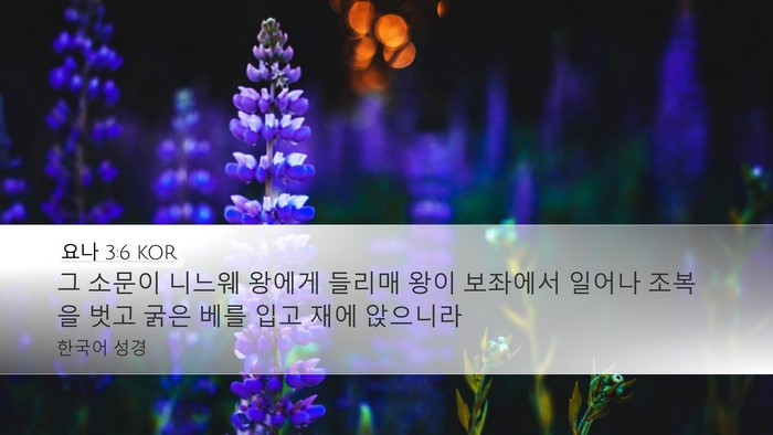 요나 3:6 KOR Bible Verse Image
