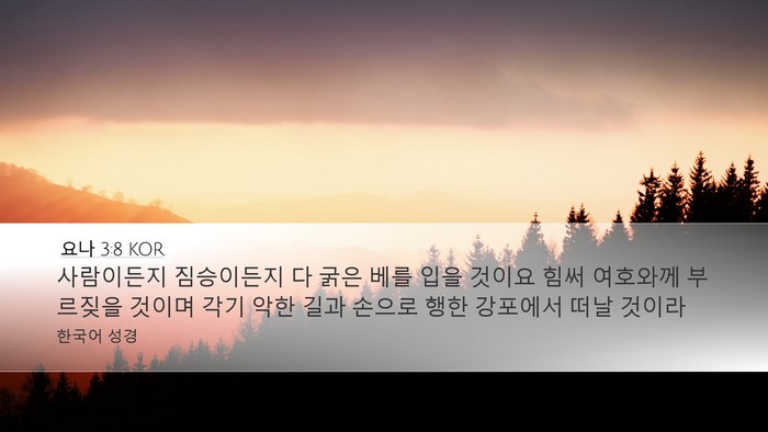 요나 3:8 KOR Bible Verse Image