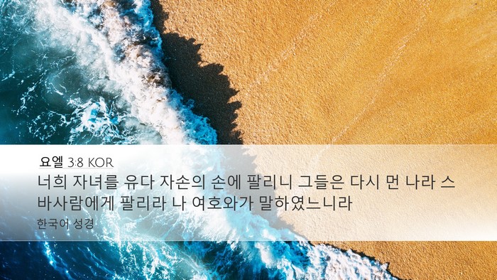 요엘 3:8 KOR Desktop Wallpaper - 너희 자녀를 유다 자손의 손에 - Desktop Bible Verse Wallpaper