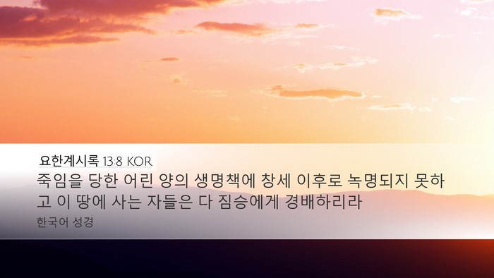 요한계시록 13:8 KOR Bible Verse Image