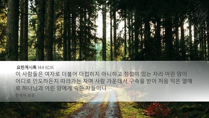 요한계시록 14:4 KOR Bible Verse Image