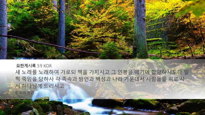요한계시록 5:9 KOR Bible Verse Image