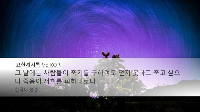 요한계시록 9:6 KOR Bible Verse Image
