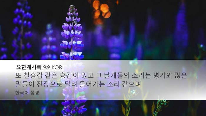요한계시록 9:9 KOR Bible Verse Image