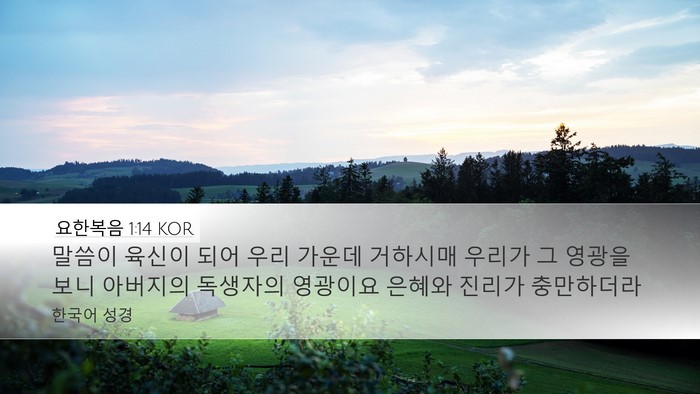 요한복음 1:14 KOR Bible Verse Image