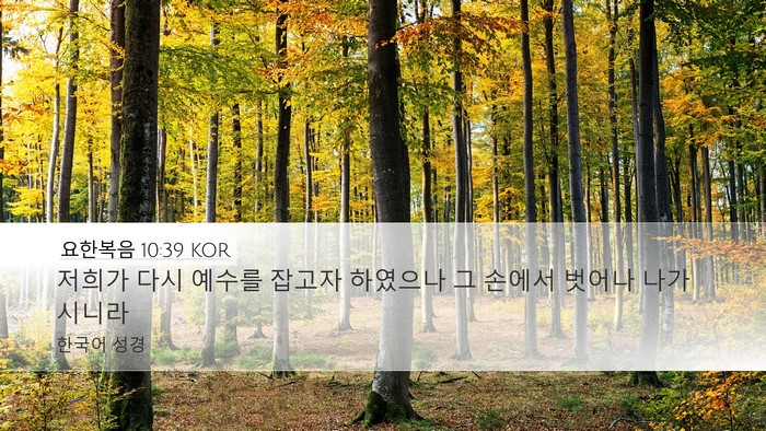 요한복음 10:39 KOR Bible Verse Image