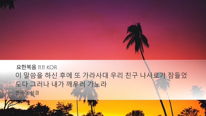 요한복음 11:11 KOR Bible Verse Image