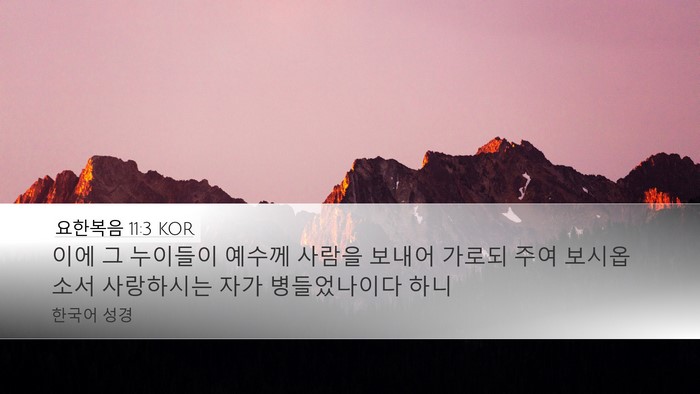 요한복음 11:3 KOR Bible Verse Image