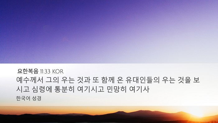 요한복음 11:33 KOR Bible Verse Image
