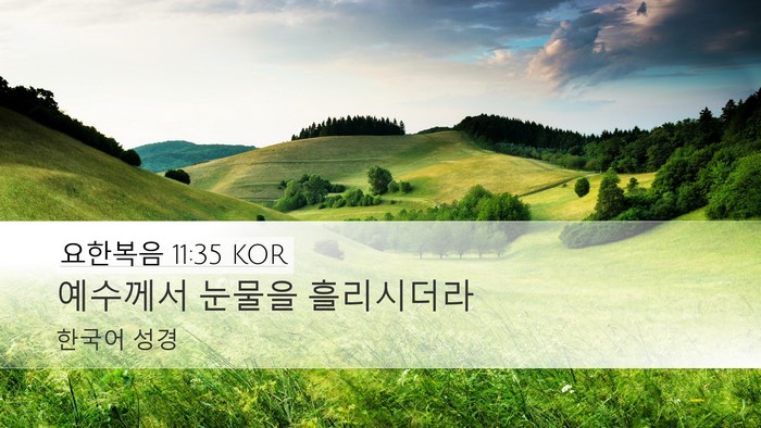요한복음 11:35 KOR Bible Verse Image