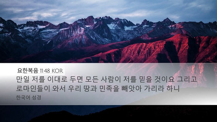 요한복음 11:48 KOR Bible Verse Image