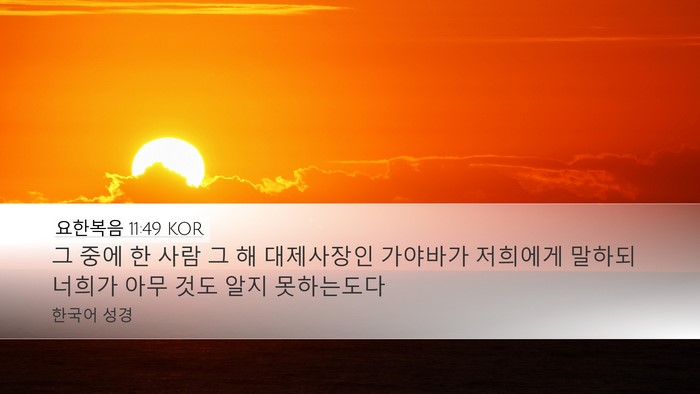 요한복음 11:49 KOR Desktop Wallpaper - 그 중에 한 사람 그 해 대제사장인 - Desktop Bible Verse Wallpaper