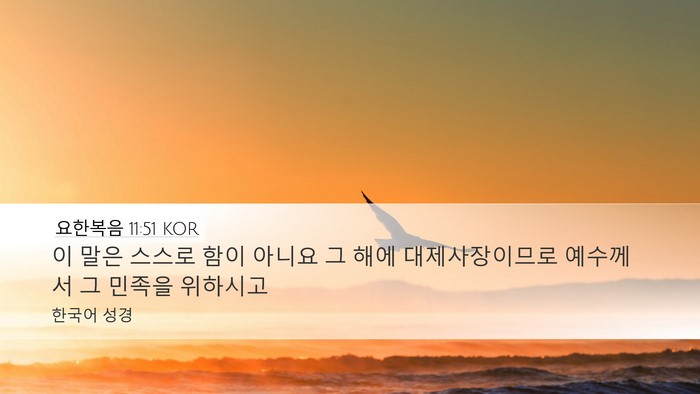 요한복음 11:51 KOR Bible Verse Image