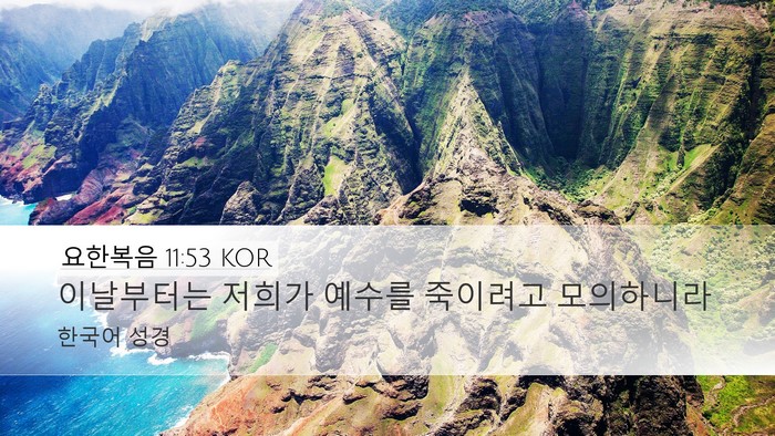 요한복음 11:53 KOR Bible Verse Image