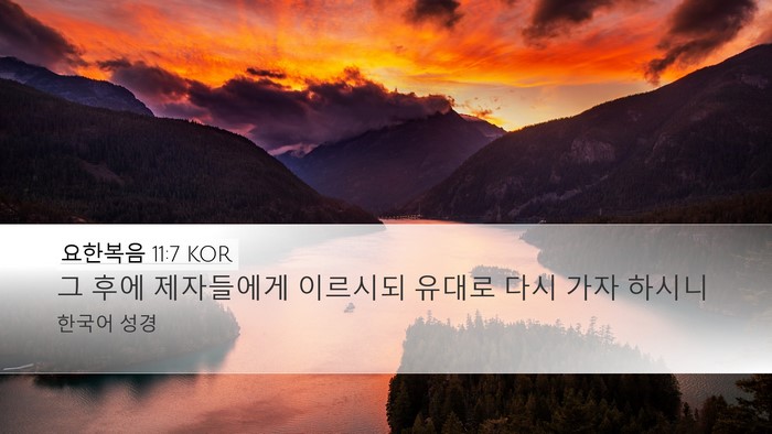 요한복음 11:7 KOR Desktop Wallpaper - 그 후에 제자들에게 이르시되 유대로 - Desktop Bible Verse Wallpaper