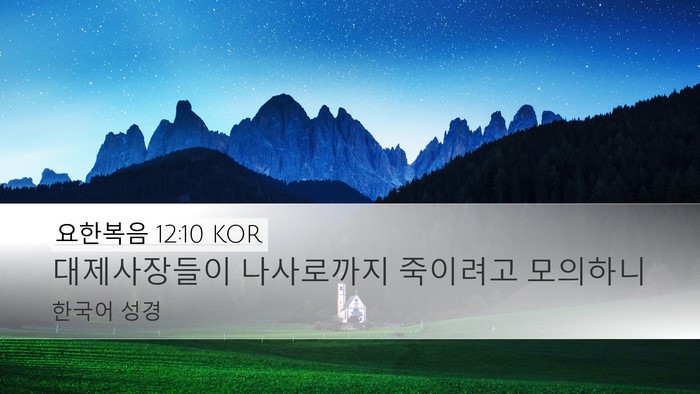 요한복음 12:10 KOR Bible Verse Image