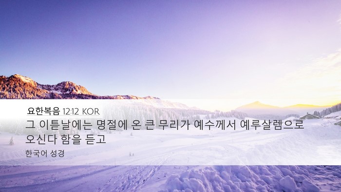요한복음 12:12 KOR Bible Verse Image