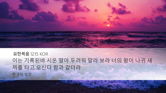 요한복음 12:15 KOR Bible Verse Image