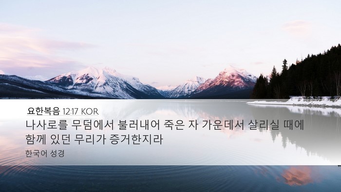 요한복음 12:17 KOR Bible Verse Image