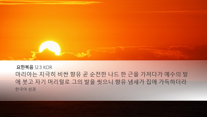 요한복음 12:3 KOR Bible Verse Image