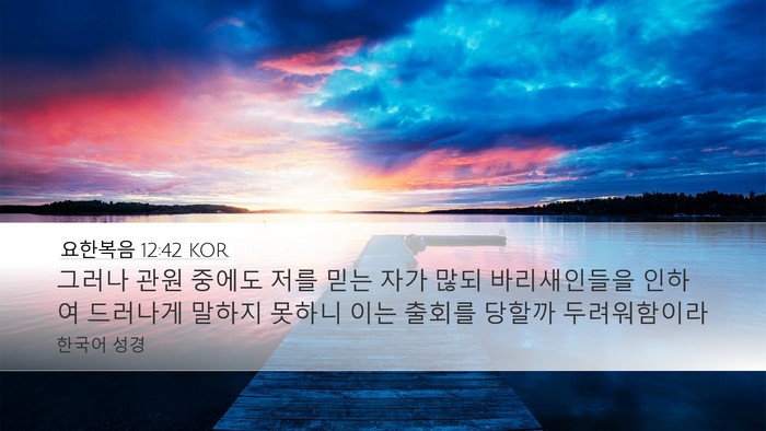 요한복음 12:42 KOR Bible Verse Image