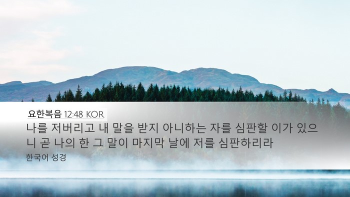 요한복음 12:48 KOR Bible Verse Image