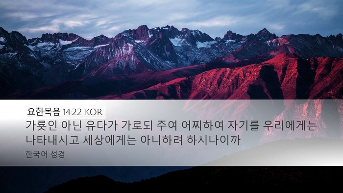 요한복음 14:22 KOR Bible Verse Image