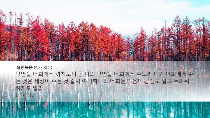 요한복음 14:27 KOR Bible Verse Image