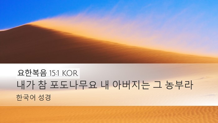 요한복음 15:1 KOR Bible Verse Image