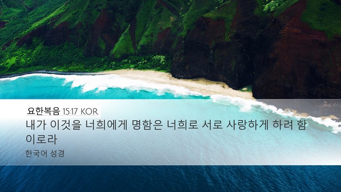 요한복음 15:17 KOR Bible Verse Image
