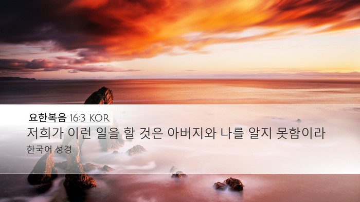 요한복음 16:3 KOR Bible Verse Image
