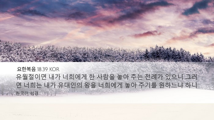 요한복음 18:39 KOR Bible Verse Image
