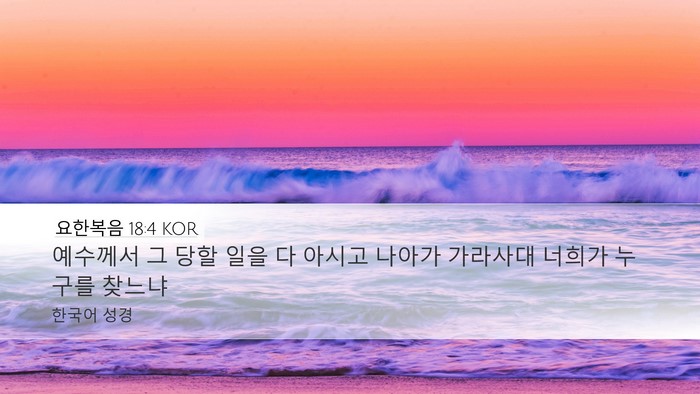 요한복음 18:4 KOR Bible Verse Image