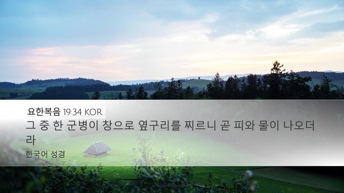 요한복음 19:34 KOR Bible Verse Image